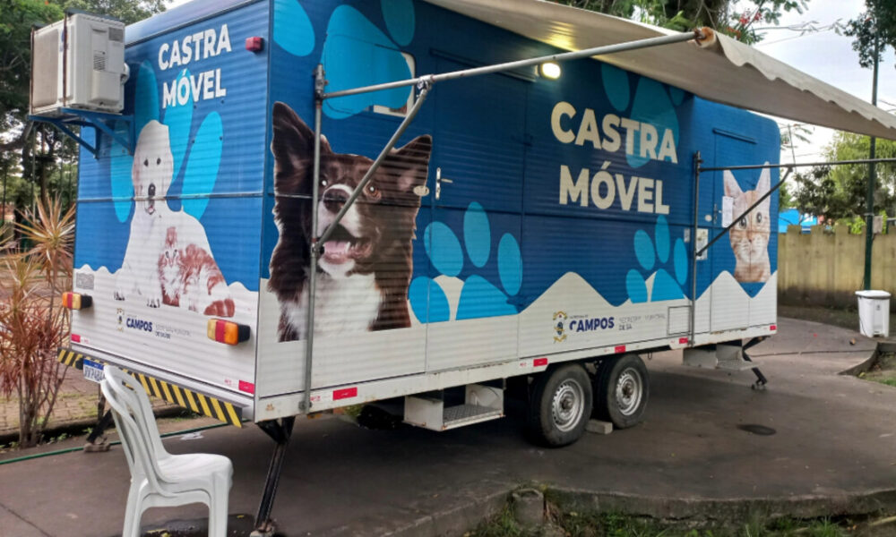 Cães e gatos: tutores de 16 bairros já podem fazer inscrição para castração pelo site do CCZ