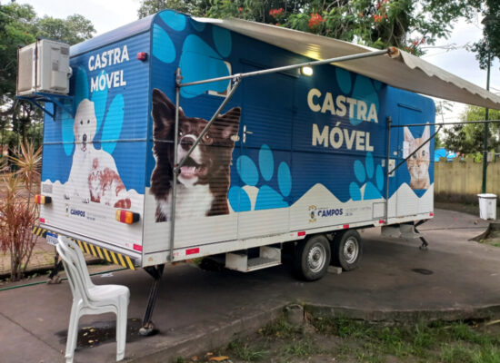 Cães e gatos: tutores de 16 bairros já podem fazer inscrição para castração pelo site do CCZ